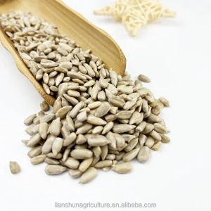 Raw Sunflower Seeds Kernels New Crop Sunflower Kernel Seeds