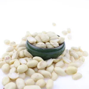 Raw and Roasted Dried Peanut Kernel Blanched Skinless Blanched Peanuts