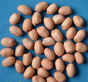 Red Skin Peanuts 24/28 28/32 40/50 50/60
