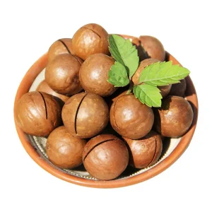 Roasted and Raw Macadamia Nuts in Shell