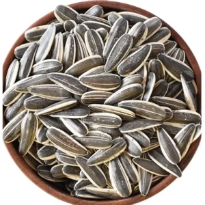 Sales T6 High Quality Sunflower Seeds From Inner Mongolia Factory