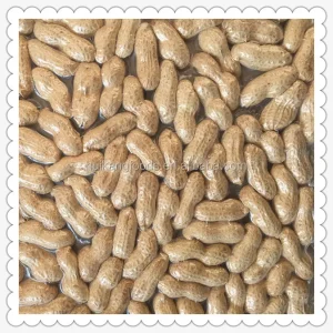 Salty Roasted Peanut in Shell