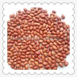 Shandong China Red Skin Peanut Kernel 24 28 28 32 40 50 50 60