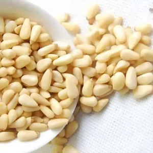 Shell Cedar Pine Nut