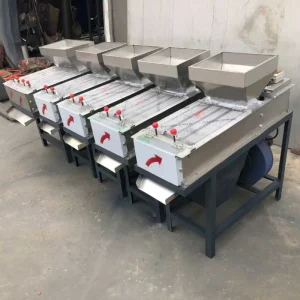 Special Dehulling Machine for Pine Nuts and Roasted Peanuts, Dry Dehulling Component Gently Processes Pine Nuts and Peanuts