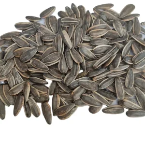 Sunflower Kernel Crop Price Raw Sunflower Kernel