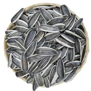 Sunflower Kernels Dried Raw in Bag for Food and Agriculture Use