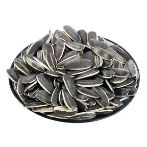 Sunflower Seeds 363