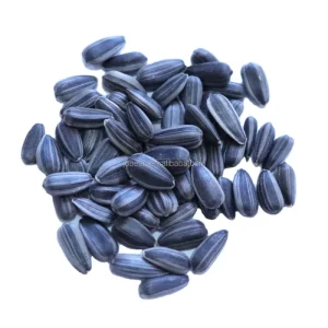 Sunflower Seeds Kernels Small Black Oil Sunflower Seeds for Bird Feeding