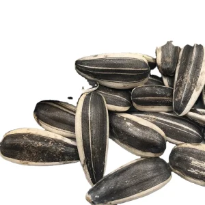 Sunflower Seeds Type 361 363 60 T6