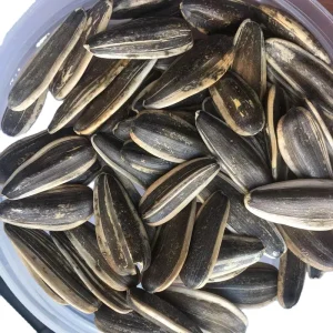 Sunflower Seeds Type 361 363 601