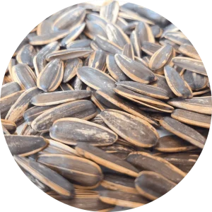 Superior Chinese Dried Caramel Roasted Melon Seeds Bulk Snack