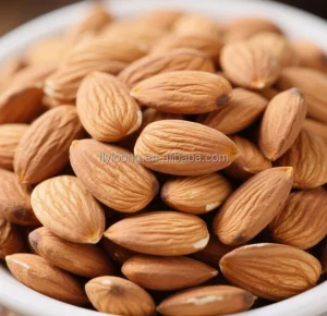 Supply of 100% Natural and Healthy Sweet Almond Nuts Delicious Instant GMO Free Dried Nuts in Bulk Vacuum Packaged