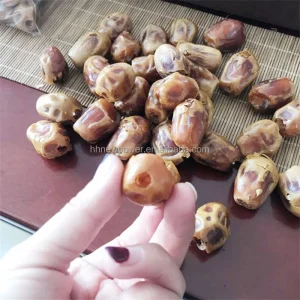 Sweet Apricot Kernel Separating Machine High Performance Apricot Core Removing Iraq Dates Pitter Device