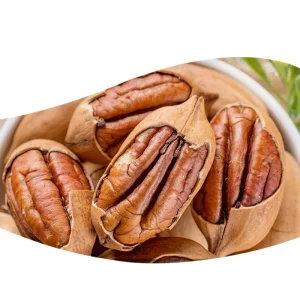 Sweet and High Quality Peru Pecan Nuts