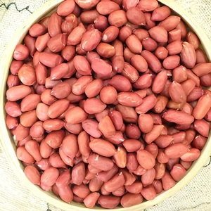This Season’s Fresh Organic Dry Red Peanuts Without Additives and Peeled Pure Flavor Customizable Packaging Available