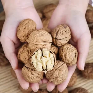 Top Grade AD Dried Walnut Kernels New Crop Raw Shelled From Anhui China Manufacturer Price for Export 1kg