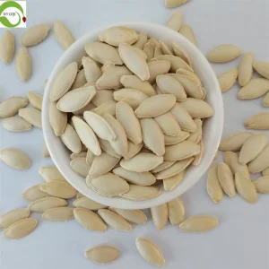 Top Grade Health Foods Dried Lady Nail Pumpkin Seeds for Bulk Supply Rich in Protein and Fiber
