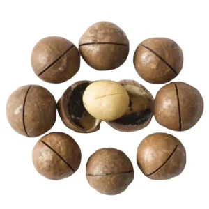 Top Grade Macadamia Nut