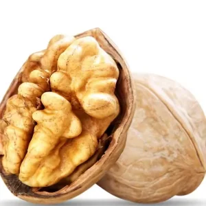 Top Grade in Shell Walnut Kernels Halves