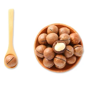 VANILLA FLAVOR Macadamia Nuts in the Shell Bulk Supply for Export at Delicious Macadamia Nuts