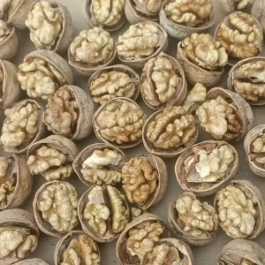 Wallnut Shelled Thin Skin Paper Shell Bulk Walnut Price China Walnut in Shell Wallnut Organic Walnut Nuts