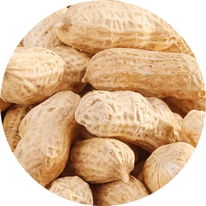 Walnut Flavored in Shell Oven Roast Peanuts Vacuum Packed Chinese Snacks