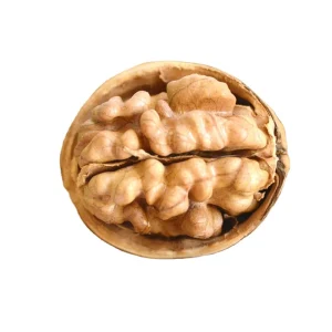Walnut Kernels Lightly Ripened Premium Lightly Ripened Walnut Kernels Rich in Omega 3 & Protein Natural Nut Snack