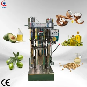 Walnut Pine Nut Sesame Peanut Hydraulic Press Full Automatic Oil Press Edible Oil Extractor