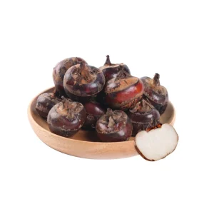 Water Chestnut/product of China Trade Price