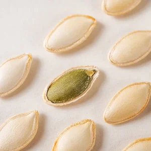 When the Season New Pumpkin Seeds Original Source Factory Supply Full Particles