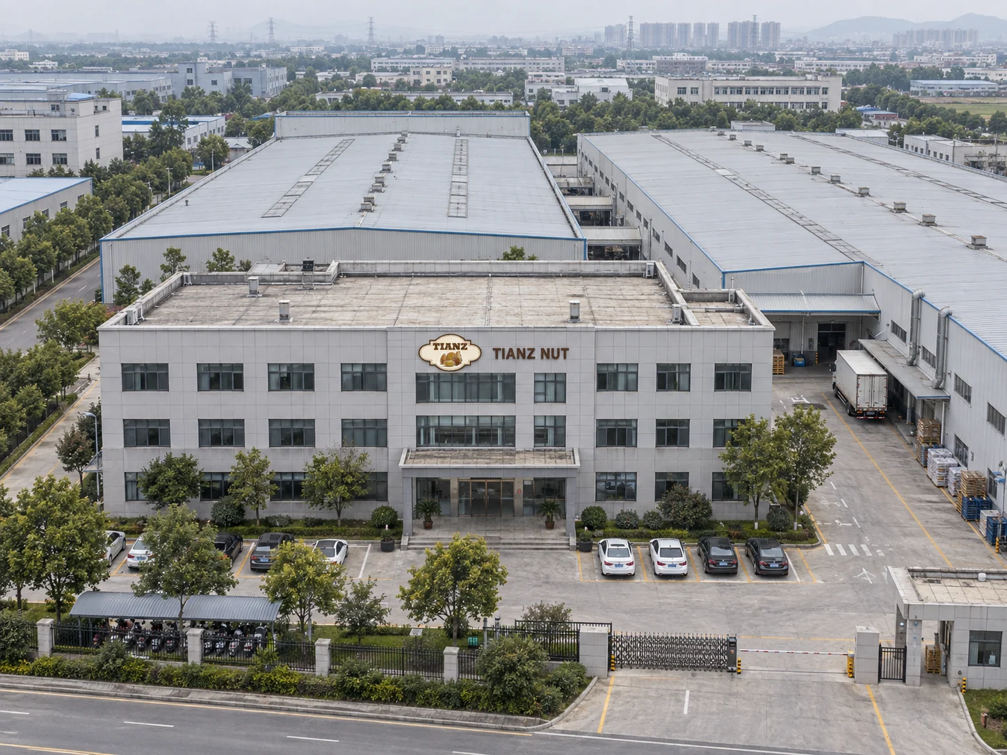 Tianz Nut branded industrial campus, aerial manufacturing illustration